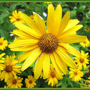 Lee Higgins - @LeeHiggins4 - Twitter