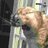 MabelVandeqrbd's profile image
