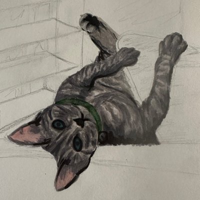 ThatCatzAqua's profile image