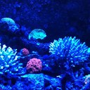 deb marks - @debmarks79 - Twitter