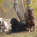 Robert Lowell Stone - @rlsdmd12 - Twitter