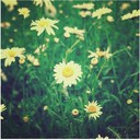 Caroline Bourke - @cbourke12 - Twitter