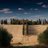 SuMQaYiT_KruToY's profile image