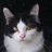 ThomasM76840157's profile image