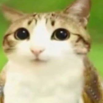 無言のままでいい
