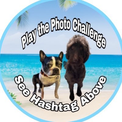 Brigadier Wilbur & Colonel Ernie in the #ZSHQ, #TheRuffRiderz. We ❤️ our family & the USA 🇺🇸#DramaFreeZone #BePositive #NoPoliticsZone