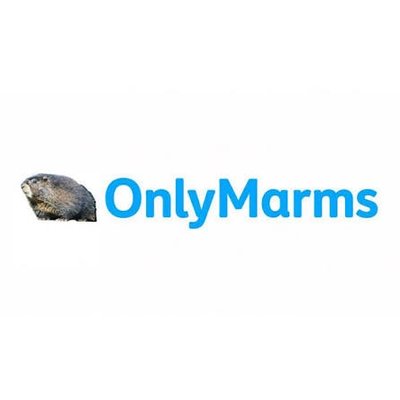OnlyMarmsRMBL's profile image