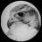 a_555_o's profile image