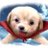 621time's profile image