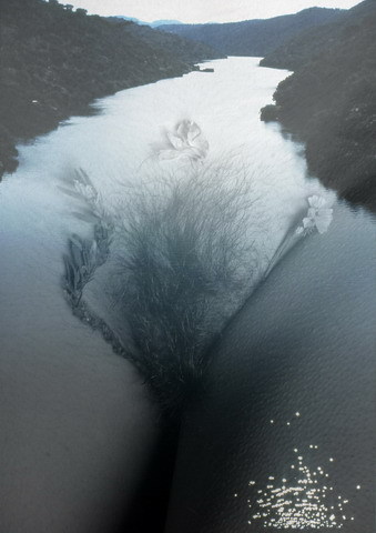 PUSSY_MAN's profile picture. 