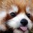 shima_ponga's profile image