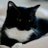 justd388773's profile image