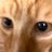 fs5efp's profile image