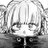 Shir0zZz's profile image
