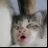 vitinsenra's profile image