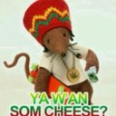 rasta mouse - @scott_olive - Twitter