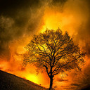 Frederick James - @FrederickJames9 - Twitter