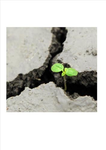 Africa_College's profile picture. Africa College is a research partnership finding sustainable answers to hunger and malnutrition in Africa. 

[Photo: Neil Palmer, CIAT]