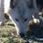 SGarner771's profile image