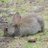 AnnaAlexandriaR's profile image
