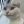 Eddy (@QuimBosley) profile picture