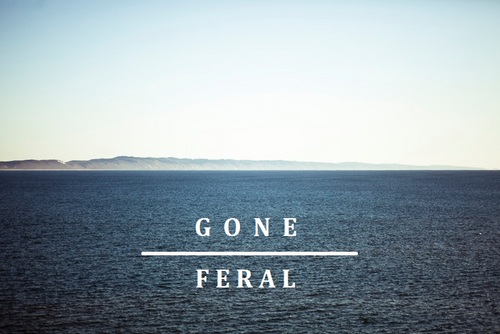 Gone_Feral's profile picture. Surf shop, Board and Wetsuit hire etc
