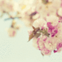 لمى الراجحي .π² (@lamo500) 's Twitter Profile Photo