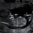 kari pratt - @karip011 - Twitter