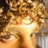user19272637's profile image