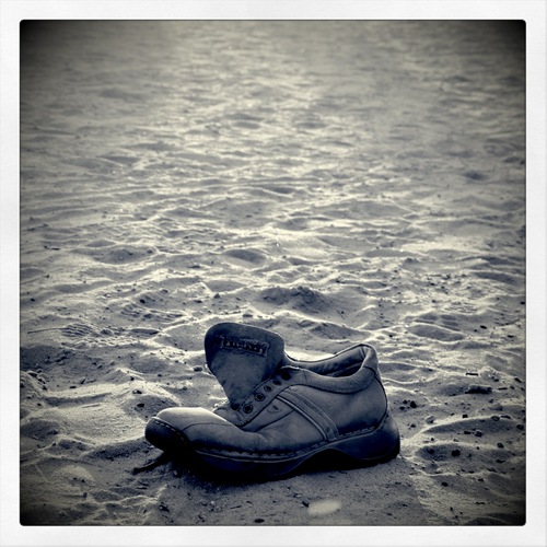 nils_oldfield's profile picture. 