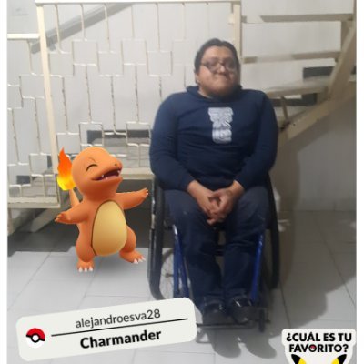 Él/He. 36 años. CDMX. Ateo. ¿Mis intereses?: Historia, cultura, museos, lectura, gastronomía y medio ambiente. 🤓📚🐶🐱 🐾🐾🐾💗💜💙👨‍🦽🍍