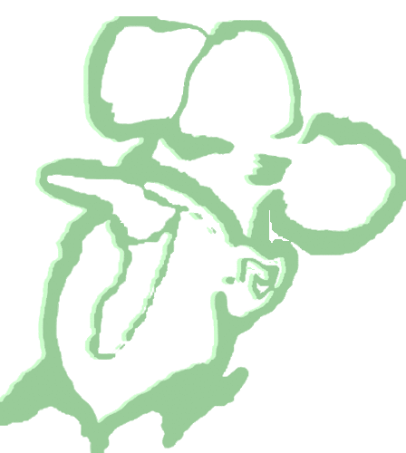 chefrecepten's profile picture. De Chef is expert in slowcooking, kampvuur en dutchoven.Kookt graag buiten en binnen. Biologisch als het kan.  Houdt van eerlijk koken en zijn eigen moestuin.