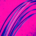 terry warner - @strobodose - Twitter