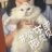 meowmeownmtb's profile image