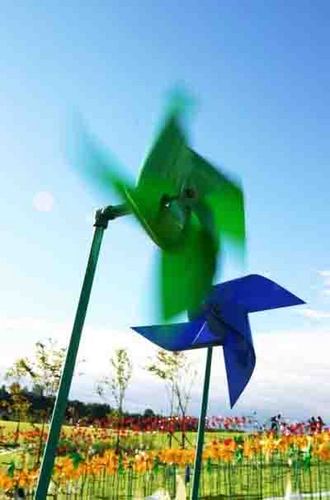 davidlee7749's profile picture. 이땅에 진정한 자유민주주의 평화가
오기를,  종북좌빨 척결