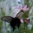 RR08430's profile image
