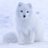 snsghfod's profile image