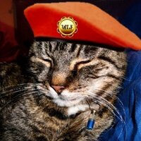 rowleywaycat (@rowleywaycat) 's Twitter Profile