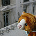 Yve J Profile