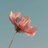 anythingnew__'s profile image