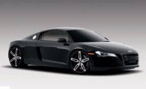 Mitchellpannel1's profile picture. yo follow me @mitchellpannel1