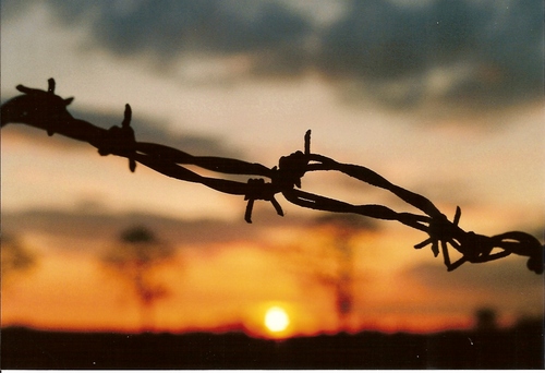 mr_kaliyuga's profile picture. Drummer & Composer dedicated to lifting the veil.