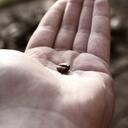 Ezra Becker - @ezrabecker8815 - Twitter