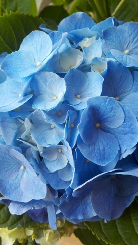 Shakey616's profile picture. 