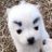 bravedogggy's profile image