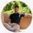 patricioans's profile image