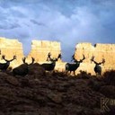 Tanner Wilde - @TannerWilde - Twitter