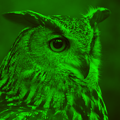 noiseslug Profile Picture