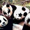 Steve Parisi - @Teslafried - Twitter