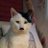 mr_fauzai7's profile image